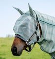 Horseware Fly Mask on hy&ouml;nteisilt&auml; sek&auml; auringon UV valolta hevosen silmi&auml; ja korvia suojaava huppu. Hyv&auml; leikkaus ja istuvuus, ei ota kiinni hevosen silmiin