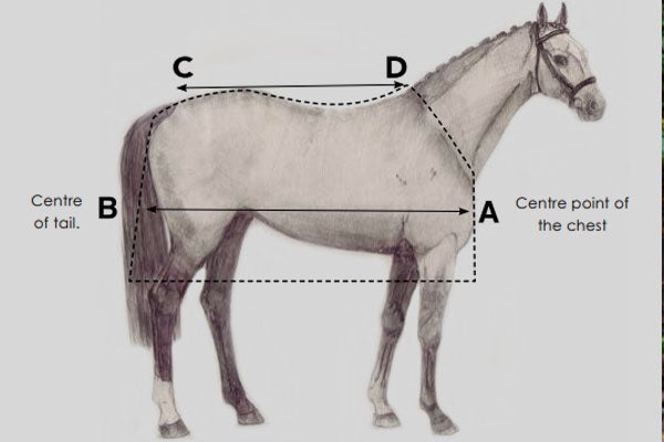 Horseware loimet kokotaulukko